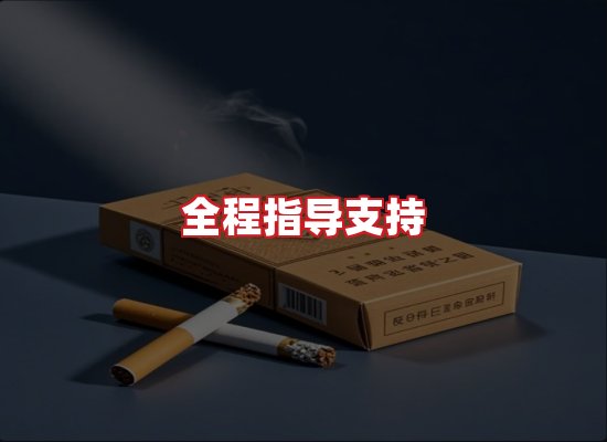 专业团队
